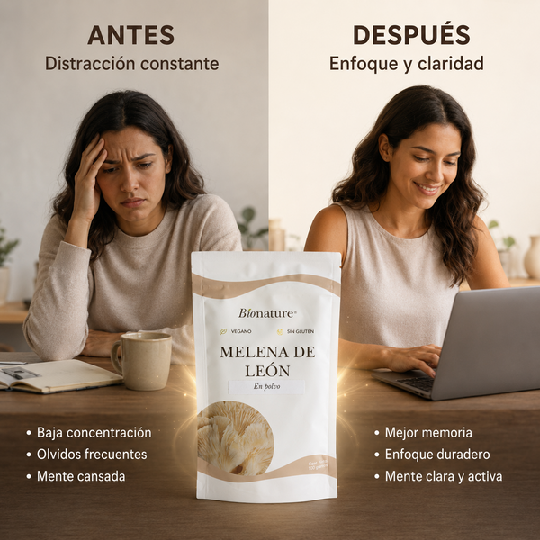 Melena de Léon en Polvo
